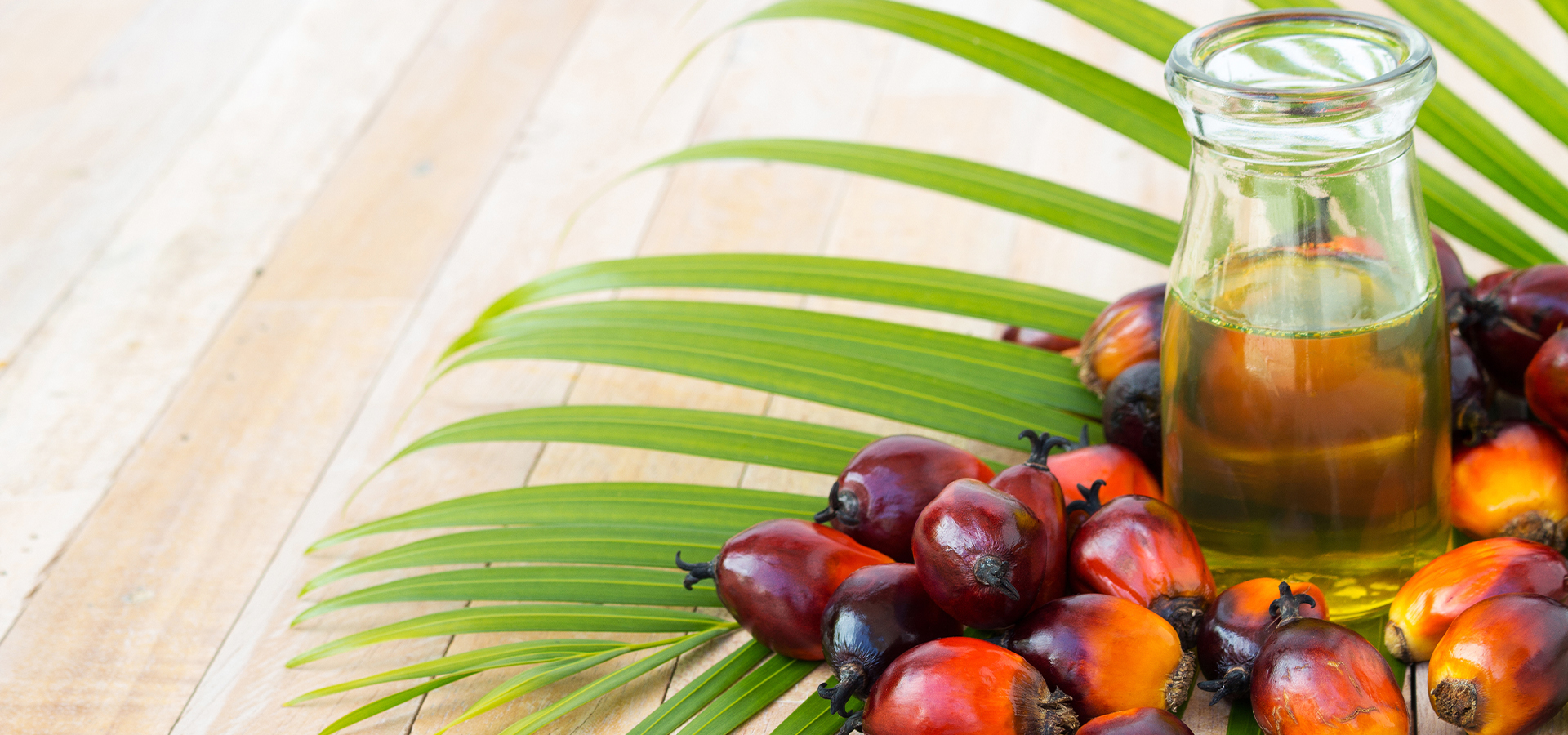 Sustainable Palm Oil Is The Norm Hellema 1016